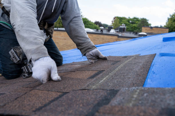 Best Metal Roofing Contractor  in Wagon Wheel, AZ